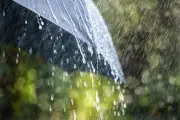 Severe Thunderstorms and Heavy Rain Expected in Barrie Region