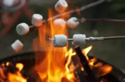Severn Declares High Fire Rating Amid Dry Conditions
