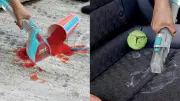 Shark StainStriker Portable Cleaner Under $100 for Carpets and Upholstery