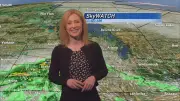 Soggy and Cool Start to the Week in Winnipeg: Colleen Bready's Forecast