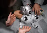 Sony discontinues Japan sales of robot puppy 'aibo'