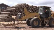 South Bruce Sawmill Gets $5.3M Modernization Amid Tariff Uncertainty
