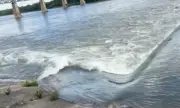 South Saskatchewan River High Water Levels Trigger Safety Warnings and Ferry Closures