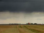 Southern Alberta Farmers Hail 'Million Dollar Rain' After Heavy Downpour
