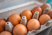 Study: Early Egg Introduction Reduces Childhood Allergies