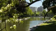 Summer 2026 in Kitchener: What to Expect This Season
