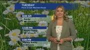 Sunny Start to June in London: Heat and Humidity Build This Week