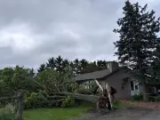 'Supercell' Tornado Confirmed in Glencoe, Ontario Causing Damage