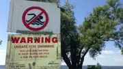 Swimming advisory issued for Orillia's Moose Beach due to high bacteria
