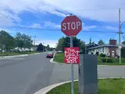 Sydney residents install stop sign to curb speeding in neighbourhood