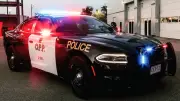 Thief Drives Stolen Truck to OPP Detachment, Police Say