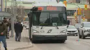 Thousands Avoiding Fare Payments for Winnipeg Transit: New Data