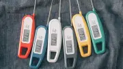 Top Digital Meat Thermometers for Perfect Grilling, Chefs Say