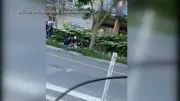 Toronto Police Tackle Cyclist in Caught-on-Tape Arrest Over Stop Sign