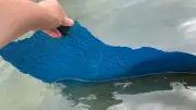 Trump's $14M Reflecting Pool Renovation Faces Algae and Peeling Coating