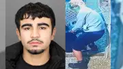 Two Wanted, One Arrested in Exotic Birds Theft in Windsor