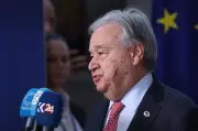 UN Chief Urges AI Firms to Report Environmental Impact, Commit to Clean Energy