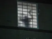 UN Demands Probes into 52 Deaths in US ICE Custody Since 2025