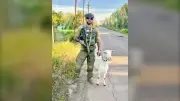 Victoria Rescuer Returns to Ukraine Frontline to Save Goats from War Zone
