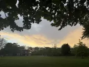 Wet Weather Expected in Montreal This Weekend