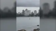 Whale Spotted Enjoying Waters Near Vancouver's Kitsilano Beach