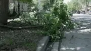 When to Call 911 After a Storm: Expert Guidelines for Safety