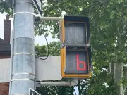 Windsor Weighs $22M Pedestrian Countdown Timer Expansion