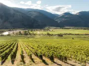 Wine Tour of South Okanagan and Similkameen Valleys: New Spots to Visit