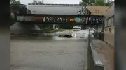 Winnipeg Flooded with Calls Over Downed Traffic Lights and Flooded Streets