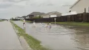 Winnipeg Schools Close After Overnight Storm, Tornado Confirmed