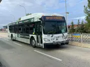 Winnipeg Transit Driver Charged with Impaired Driving