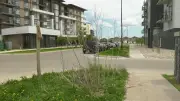 Winnipegger Declares Boulevard 'Botanical Garden' in Grass-Cutting Protest
