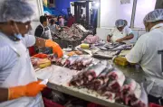 World's Best Food Cities Revealed by Time Out: Lima Tops List