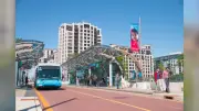 York Region Transit Fares to Rise Starting July 2026