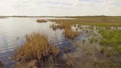 Auditor General Approves Updated Wetland Replacement Monitoring in Edmonton