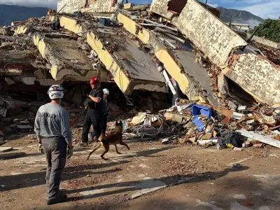 B.C. Rescue Dogs Become Heroes in Venezuela Earthquake Aftermath