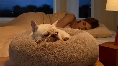 Bedsure Donut Cat and Dog Bed: A Calming Haven for Anxious Pets