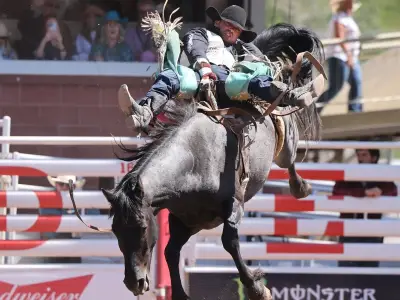 Calgary Stampede: Bradlee Miller Earns First Championship Sunday Berth