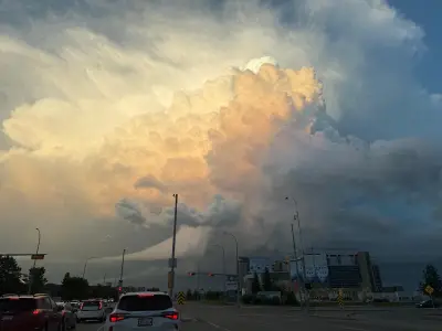 Calgary Weather: Hot, Sunny for Second Stampede Weekend