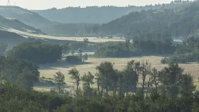 Chasing Morning Mist: A Photographer's Journey Through Alberta's Bow River Valley