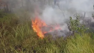 Conservation Officers Seek Campfire Suspects in Johnson Lake Wildfire