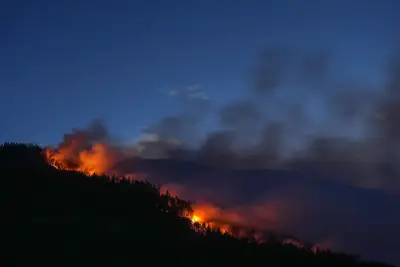 Cooler Weather Aids Firefighters Battling B.C. Wildfires