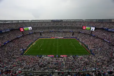 FIFA Sells World Cup Final Field in $450 Pieces as Souvenirs