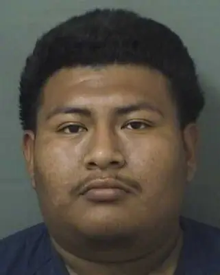 Florida Man Charged After Severely Neglected Pig Found