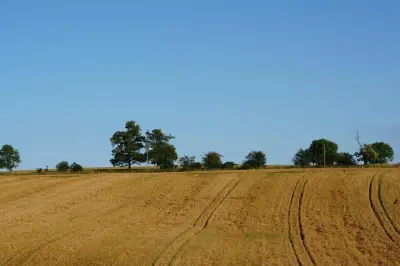 Harvest Season Underway: Farmer Safety Top Priority in Essex County