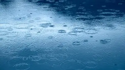 Maritimes to Get Weekend Refresh After Humid, Showery Friday
