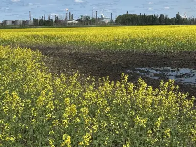 Meta's $13B Data Centre in Sturgeon County: Economic Game Changer