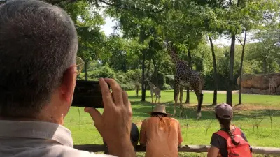 Nashville Zoo Becomes Battleground in US Data Centre Race
