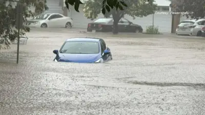 Ottawa Officials Call for Provincial Disaster Funding After Canada Day Storm