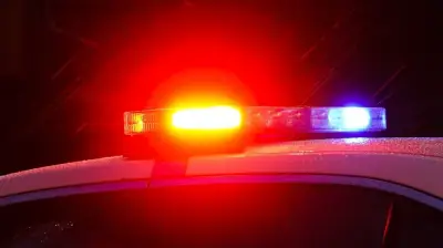 Pedestrian critically injured after being struck by bus in Surrey